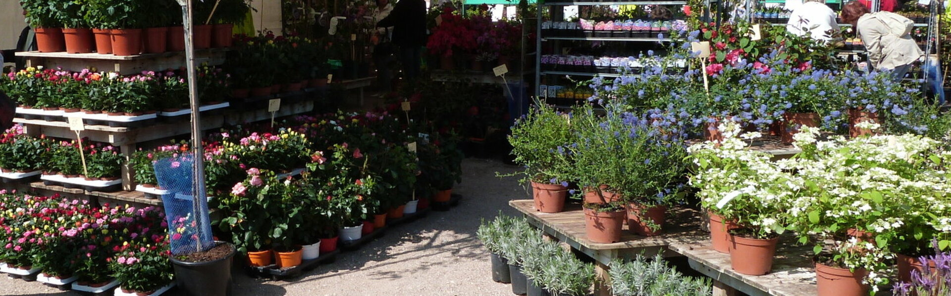 Foire aux Rosiers de Bellegarde Loiret