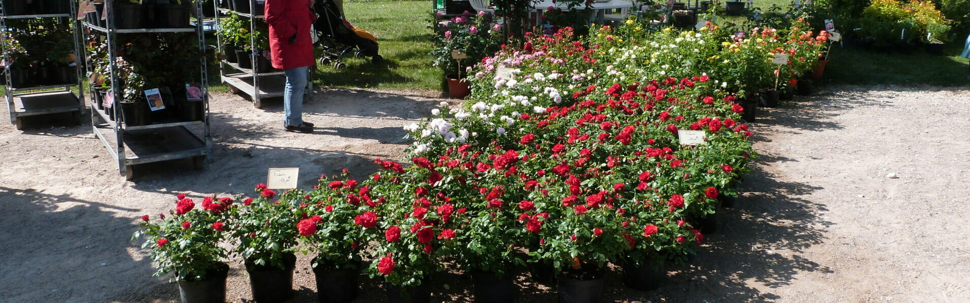 Foire aux rosiers Bellegarde Loiret